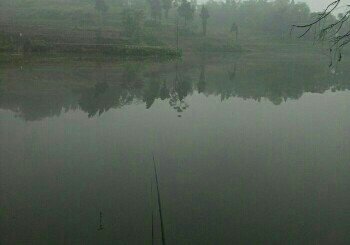 金马河大桥钓场