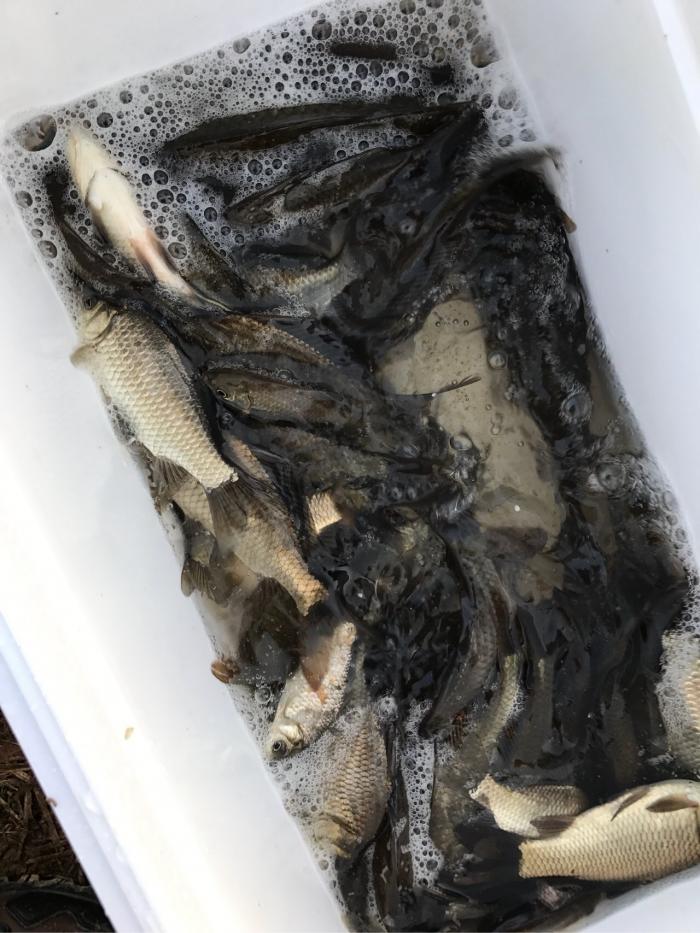 军哥生态钓鱼场