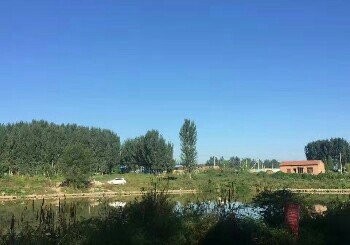 克头飞鱼俱乐部