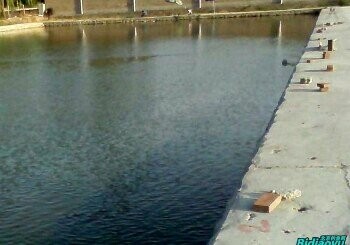 园林渔场垂钓园