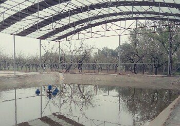 东柴庄温室垂钓园