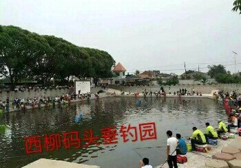 西柳码头垂钓