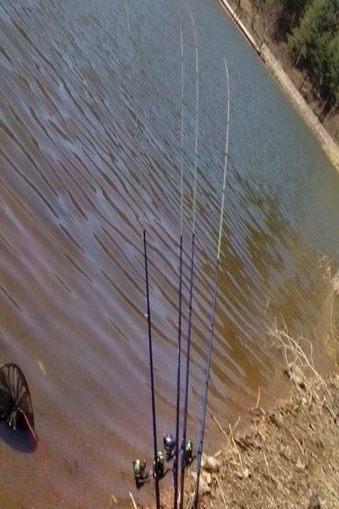 六里坪森林公园