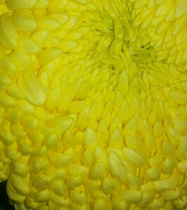 得胜魏家村钓场