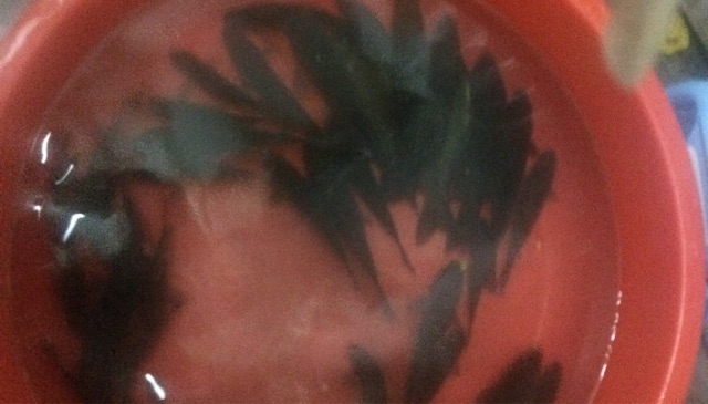 义乌稠岭线将干村钓场