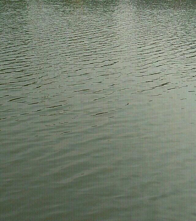 合肥水利学院内