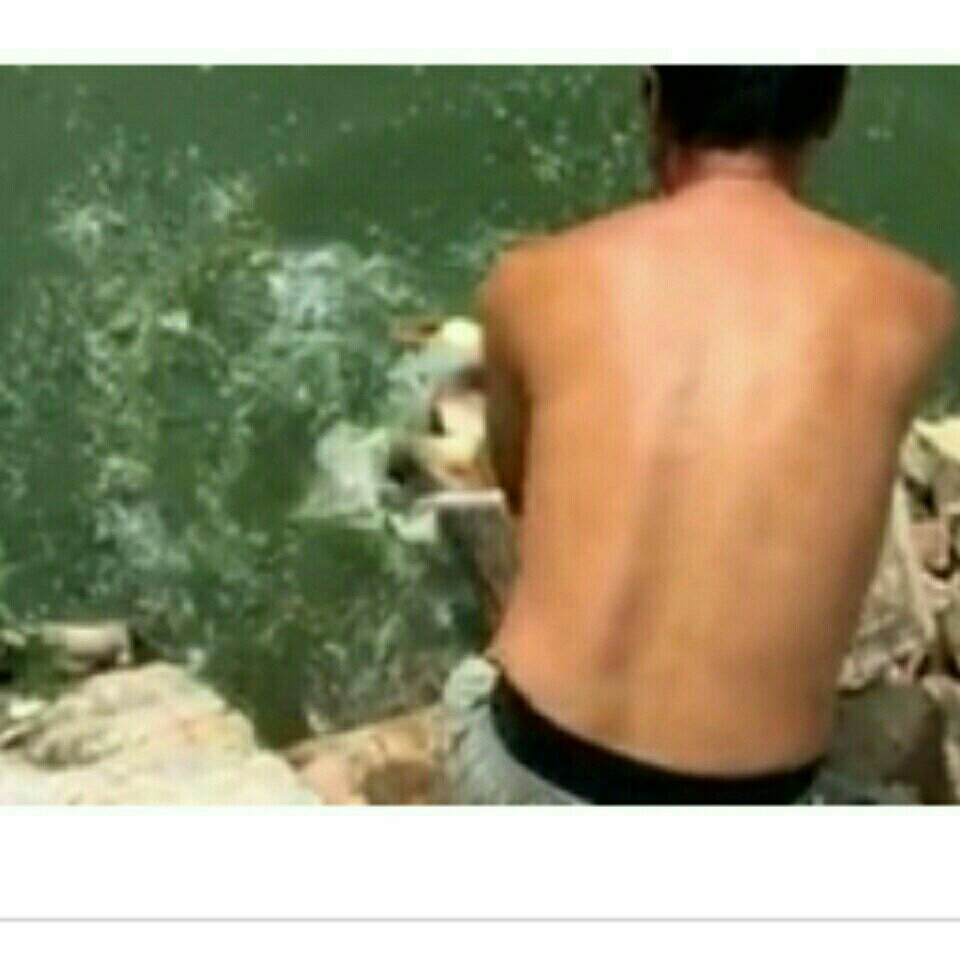 盆窑沟水库钓场