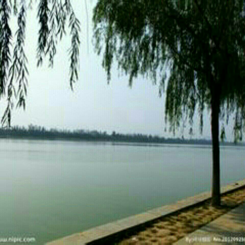 海河李公楼桥段