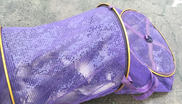 南木塘台钓基地