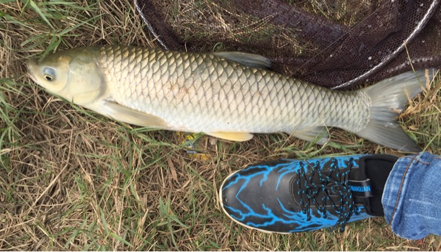 秋水广场江新堤