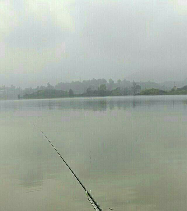 嘉陵江大桥钓场