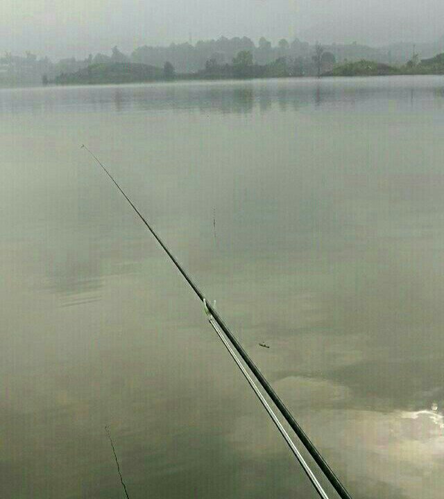 三渡水大桥钓场