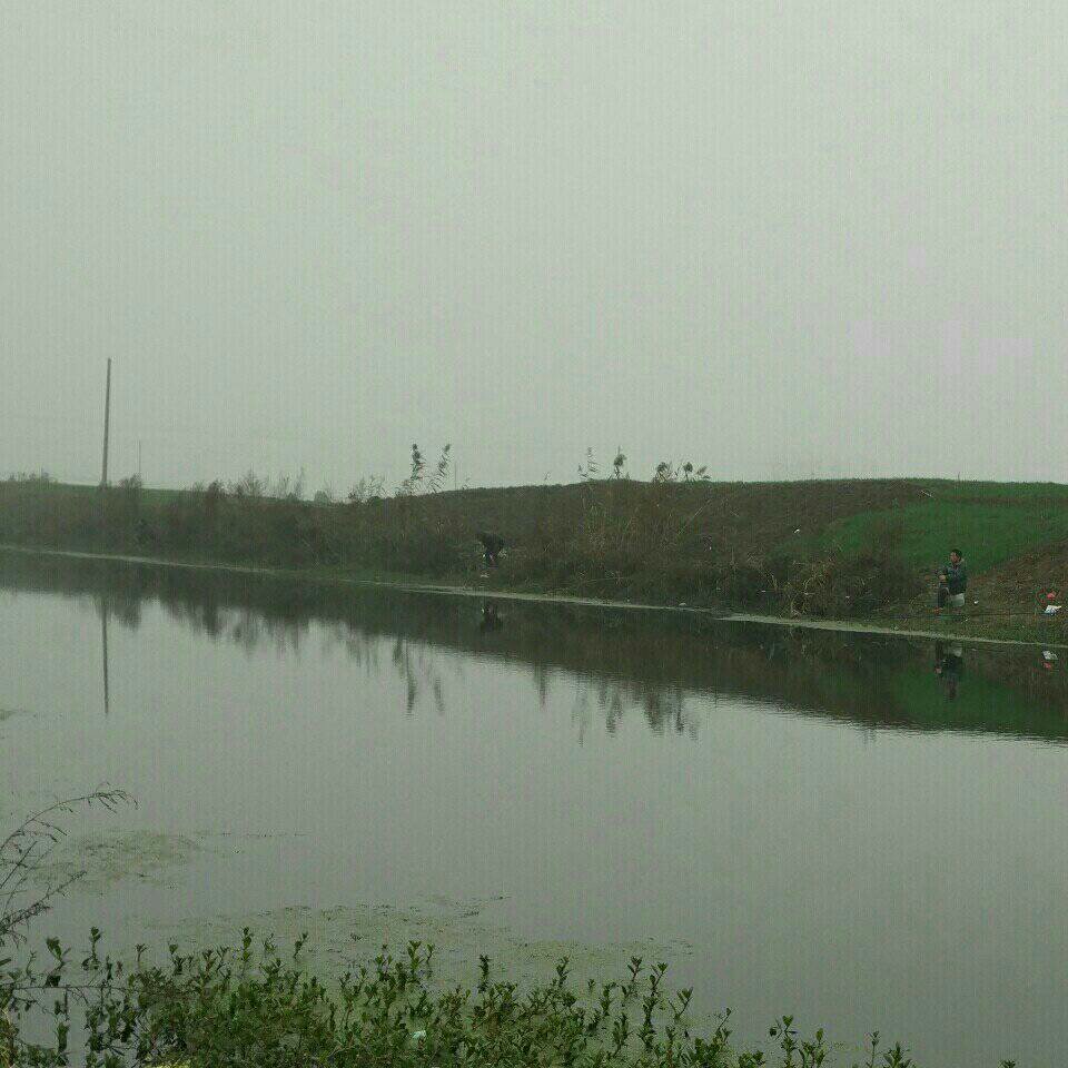 省道河(三里桥南)