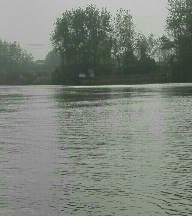 沙颖河王大庄段钓场