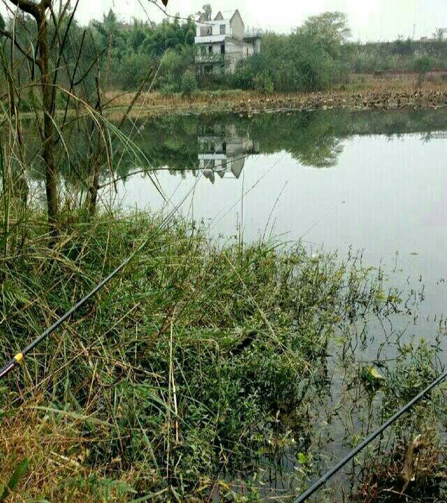 府河北门大桥钓场