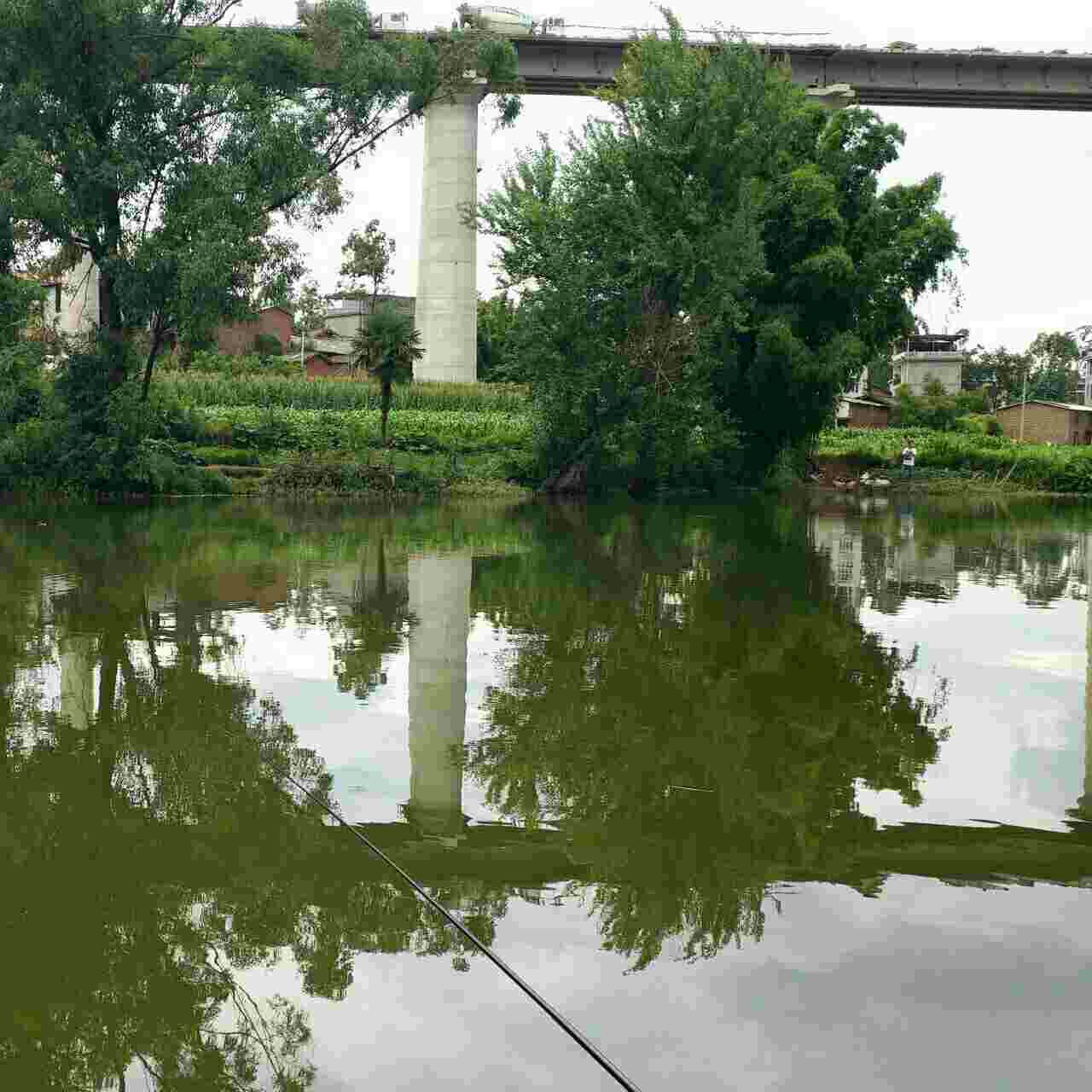 水河村鱼塘