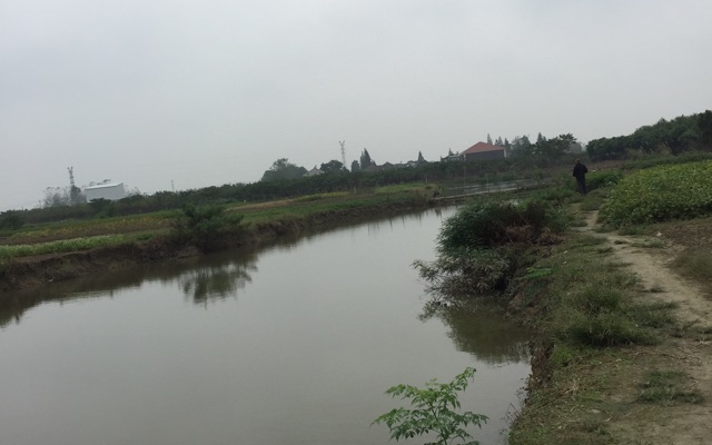 吕城芦家村钓场