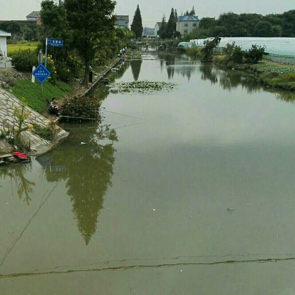 沈新河钓场