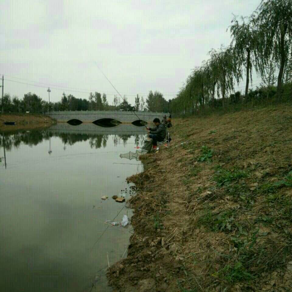 龙凤苑东门河沟