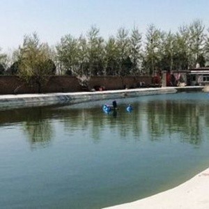 刘大白久久鱼池