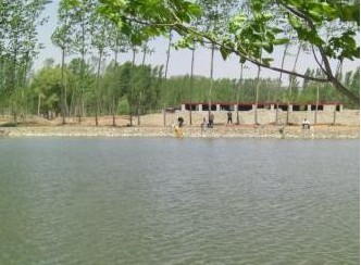 七贤农家垂钓园