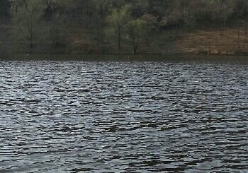 长沟湿地公园