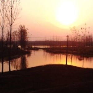 固镇县大何涵段