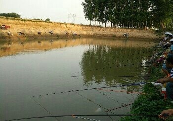 冯家巷鱼塘