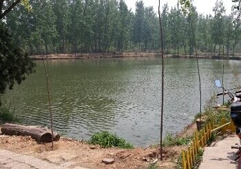 田园鱼庄生态园