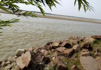 荥阳王村黄河滩