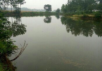 黄泛冲闸抽沙子塘