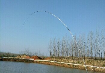 板桥水库旁边耀武鱼塘