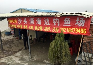 沙头涌海边钓鱼场