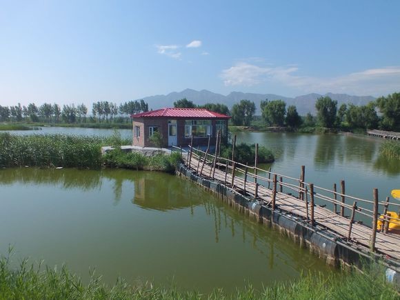 西大溏垂钓主题公园