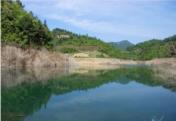 神湾庆发钓鱼场