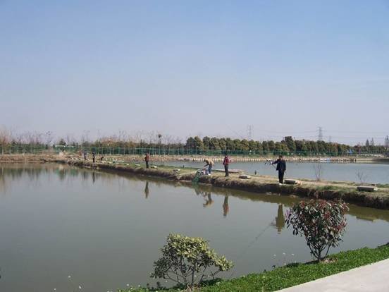 竹柳岛垂钓中心