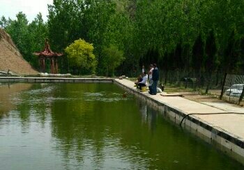 聚宝湾垂钓中心