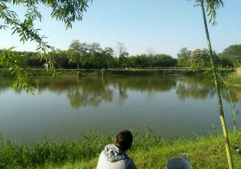 鱼塘