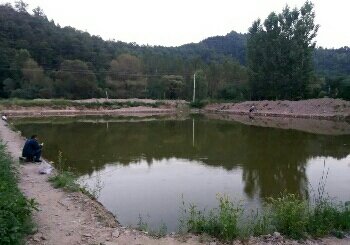 腰坪村鱼池