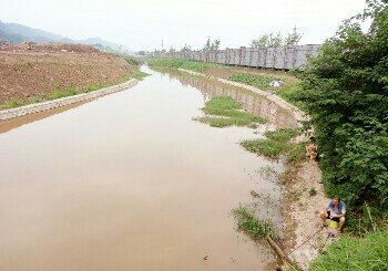 临港白沙湿地公园