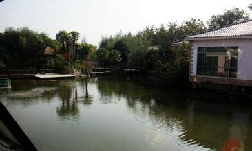 稼娃垂钓园度假农家