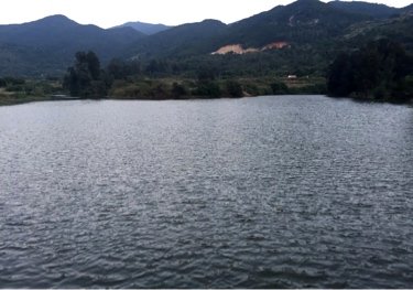 新圩桂林水库垂钓场