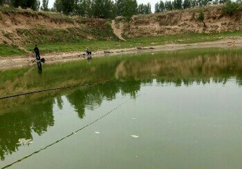 吴安屯东坑钓场