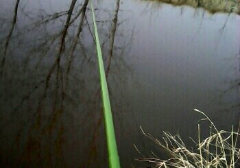 运河旁边的二河