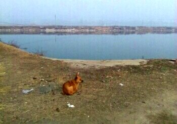 电业局高钓中心