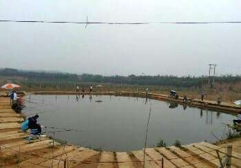 四谷农场垂钓园