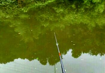 辛章金鹏垂钓园