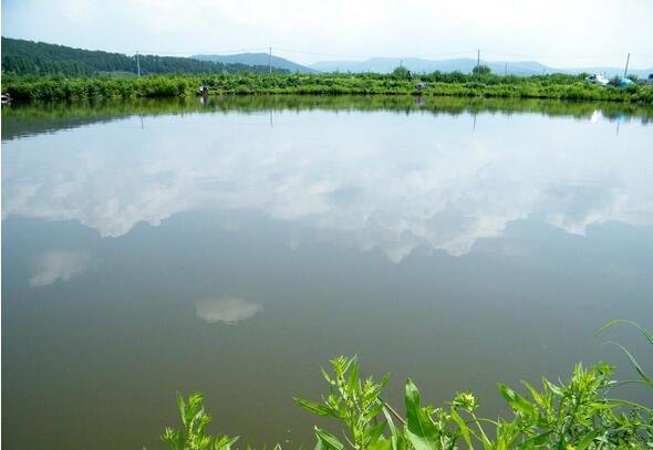 才启垂钓生态园