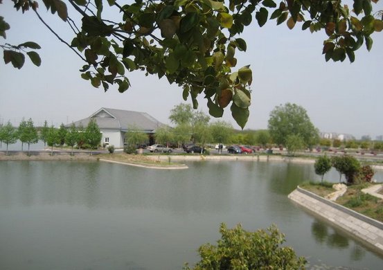 蜻蜓湖休闲渔庄