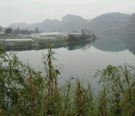 马岩香草园休闲山庄